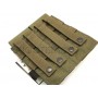 Flyye MOLLE Double M4/M16 Mag Pouch (RG)