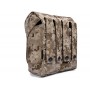 Flyye MOLLE Dual AK Magazine Pouch(AOR1)